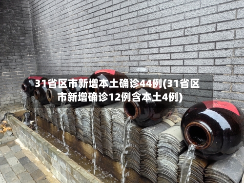 31省区市新增本土确诊44例(31省区市新增确诊12例含本土4例)