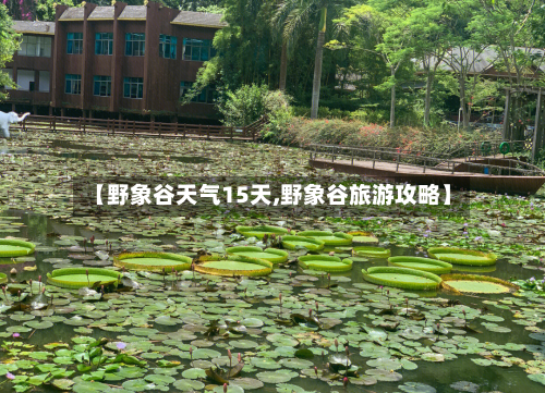 【野象谷天气15天,野象谷旅游攻略】