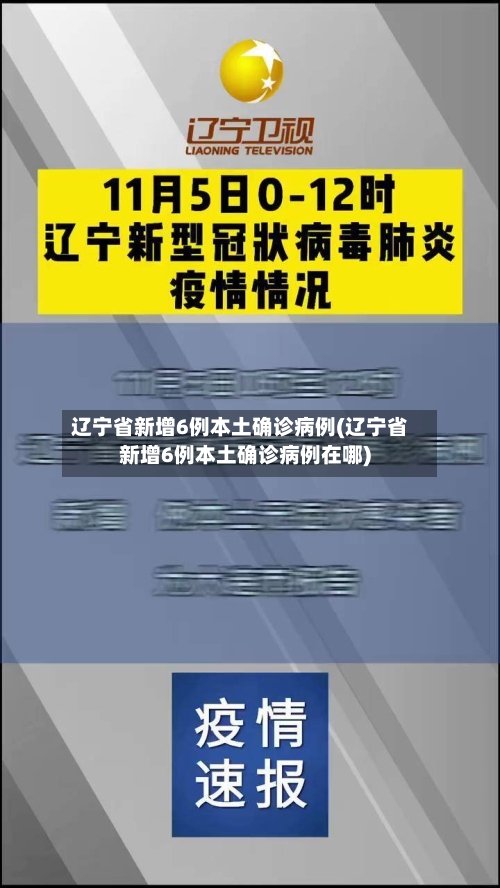 辽宁省新增6例本土确诊病例(辽宁省新增6例本土确诊病例在哪)