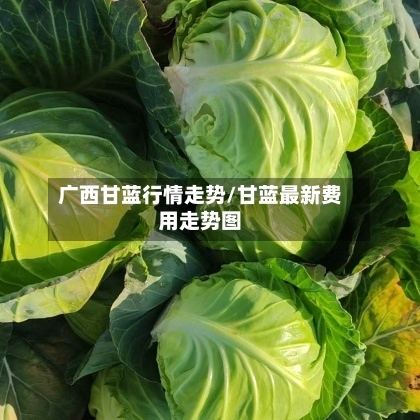 广西甘蓝行情走势/甘蓝最新费用走势图