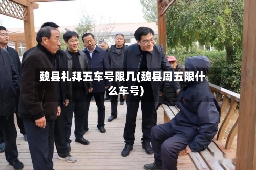魏县礼拜五车号限几(魏县周五限什么车号)