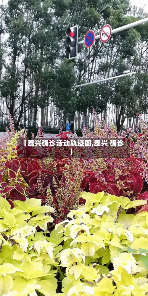 【泰兴确诊活动轨迹图,泰兴 确诊】