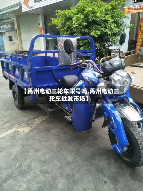 【禹州电动三轮车限号吗,禹州电动三轮车批发市场】