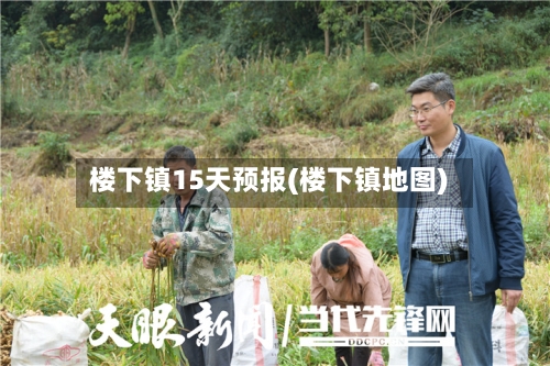 楼下镇15天预报(楼下镇地图)