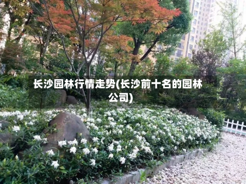 长沙园林行情走势(长沙前十名的园林公司)