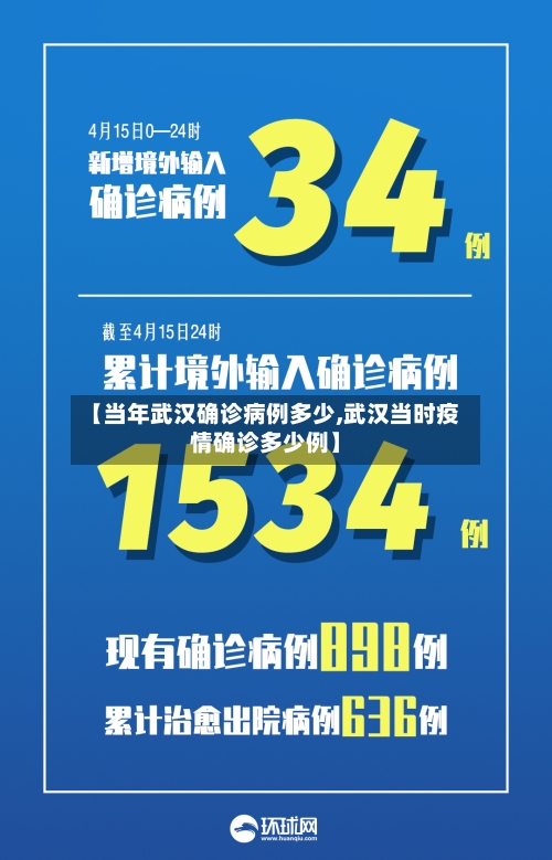 【当年武汉确诊病例多少,武汉当时疫情确诊多少例】