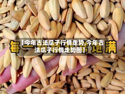 【今年古法瓜子行情走势,今年古法瓜子行情走势图】