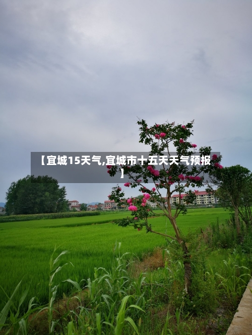 【宜城15天气,宜城市十五天天气预报】