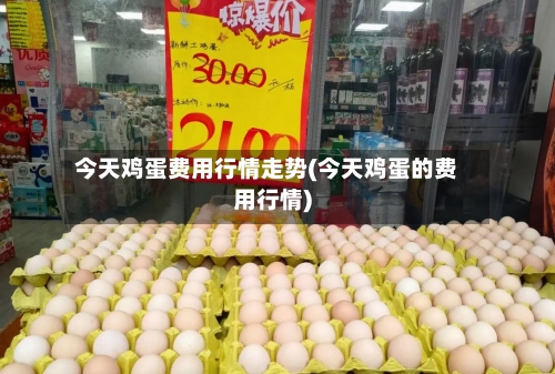 今天鸡蛋费用行情走势(今天鸡蛋的费用行情)