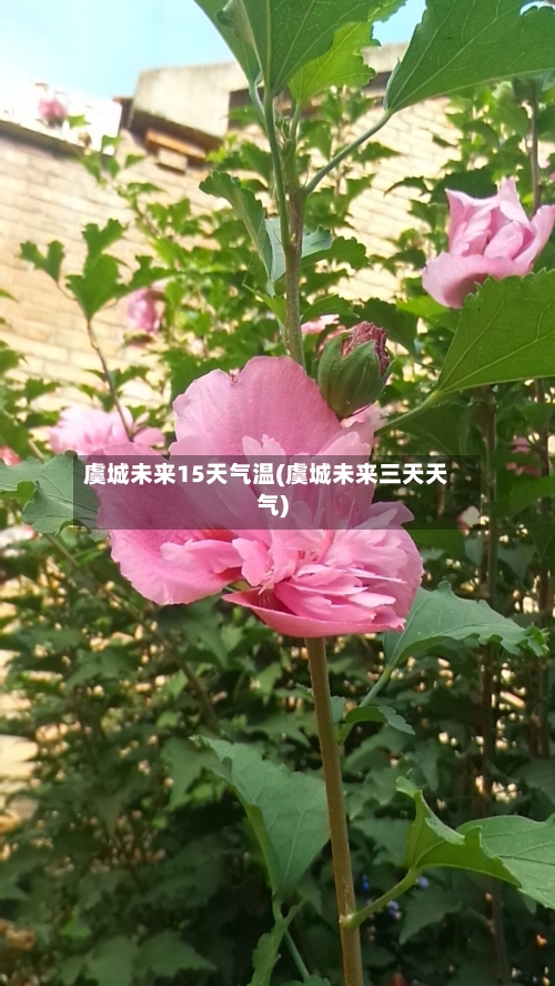 虞城未来15天气温(虞城未来三天天气)