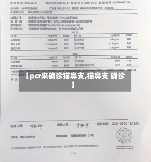 【pcr来确诊猫鼻支,猫鼻支 确诊】