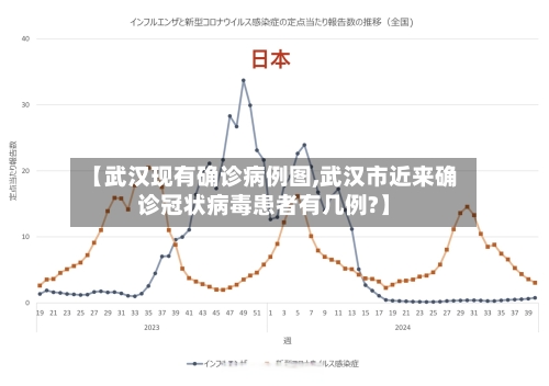【武汉现有确诊病例图,武汉市近来确诊冠状病毒患者有几例?】