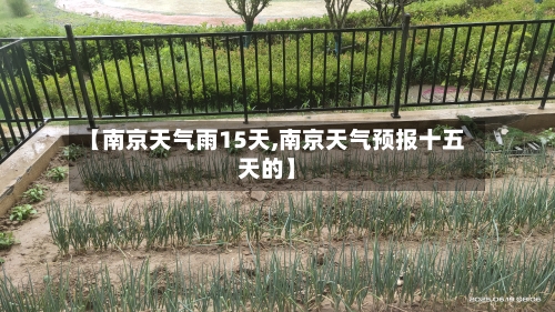 【南京天气雨15天,南京天气预报十五天的】