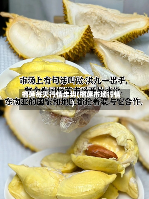 榴莲每天行情走势(榴莲市场行情)
