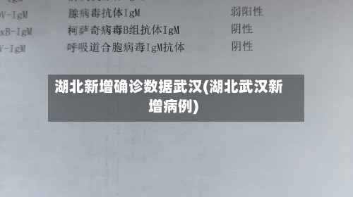 湖北新增确诊数据武汉(湖北武汉新增病例)