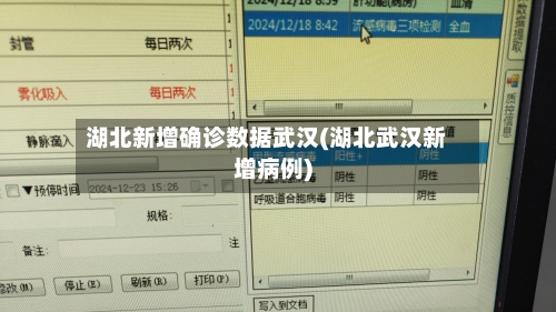 湖北新增确诊数据武汉(湖北武汉新增病例)