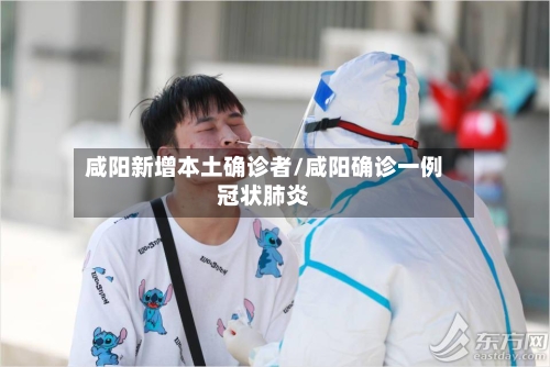 咸阳新增本土确诊者/咸阳确诊一例冠状肺炎