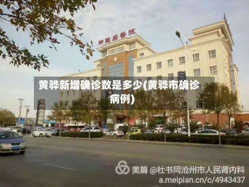 黄骅新增确诊数是多少(黄骅市确诊病例)