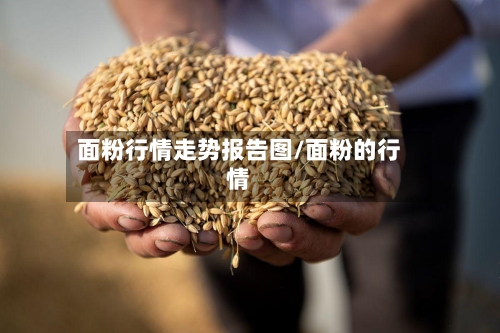 面粉行情走势报告图/面粉的行情