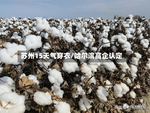 苏州15天气穿衣/哈尔滨高企认定