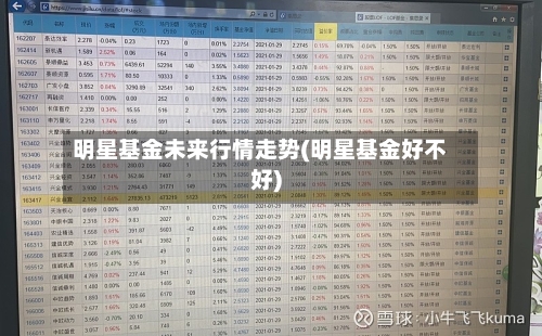 明星基金未来行情走势(明星基金好不好)