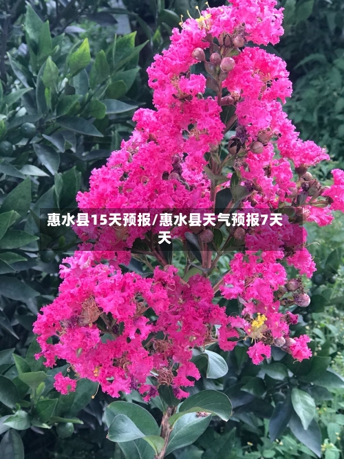 惠水县15天预报/惠水县天气预报7天天