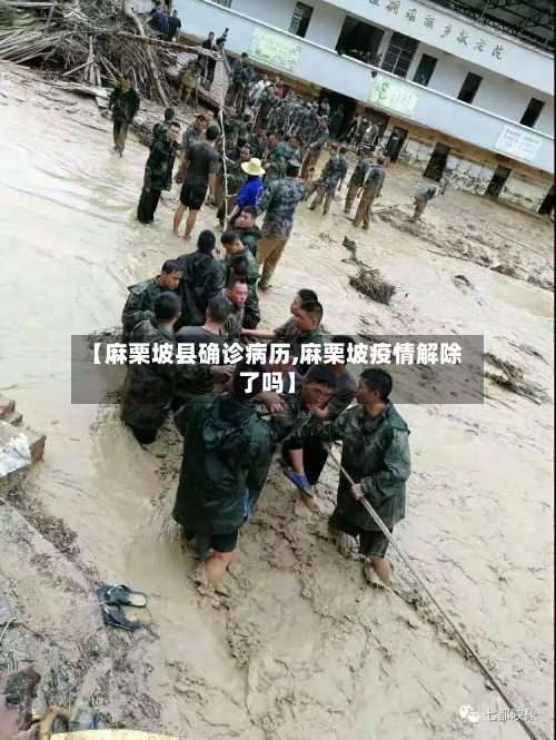 【麻栗坡县确诊病历,麻栗坡疫情解除了吗】