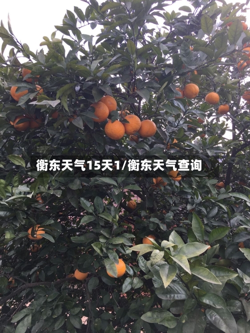 衡东天气15天1/衡东天气查询