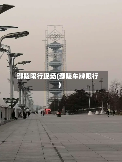 鄢陵限行现场(鄢陵车牌限行)
