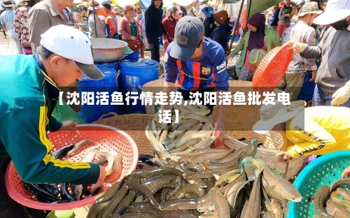 【沈阳活鱼行情走势,沈阳活鱼批发电话】