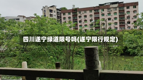 四川遂宁绿道限号吗(遂宁限行规定)