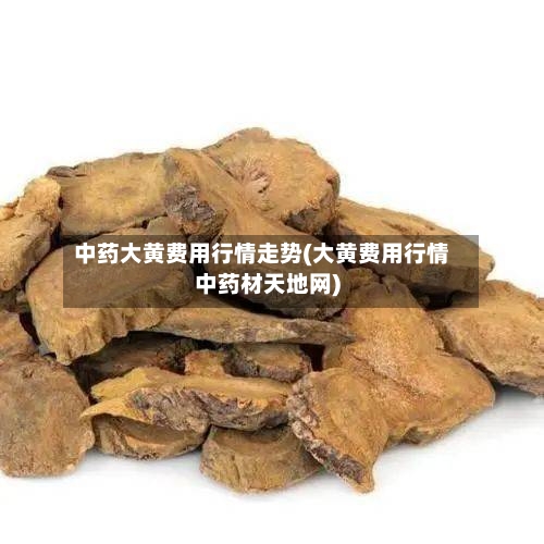 中药大黄费用行情走势(大黄费用行情中药材天地网)