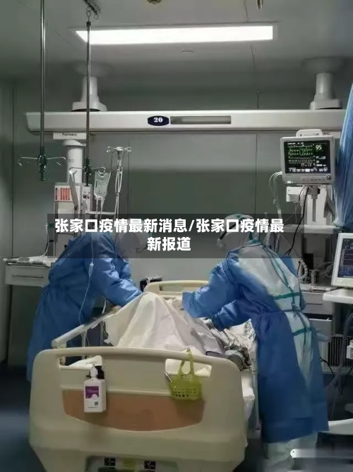 张家口疫情最新消息/张家口疫情最新报道