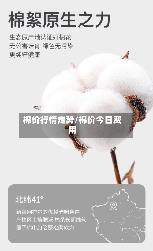 棉价行情走势/棉价今日费用