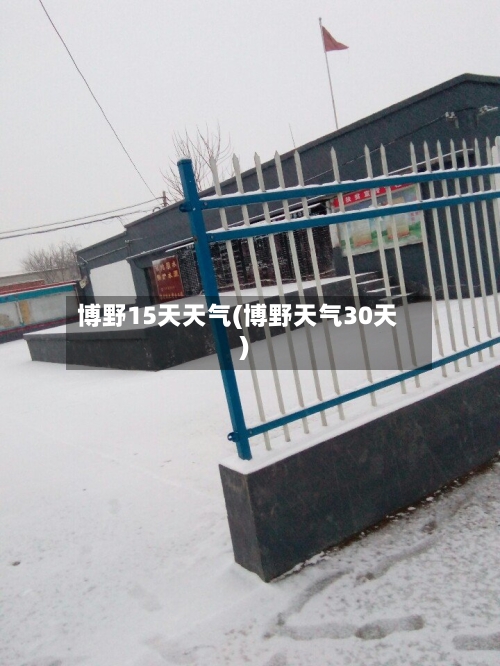 博野15天天气(博野天气30天)
