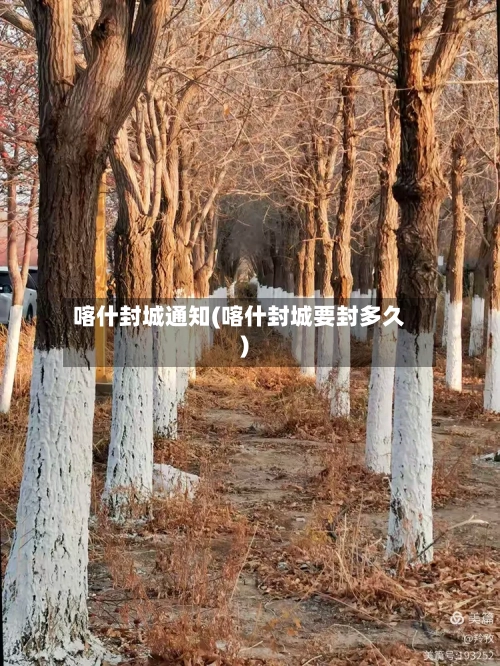 喀什封城通知(喀什封城要封多久)