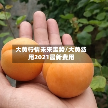 大黄行情未来走势/大黄费用2021最新费用