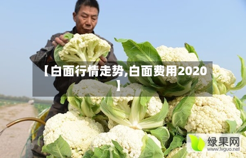 【白面行情走势,白面费用2020】