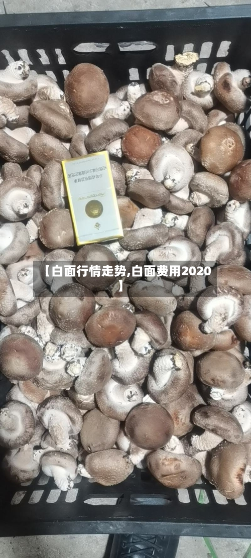 【白面行情走势,白面费用2020】