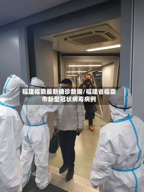 福建福鼎最新确诊数据/福建省福鼎市新型冠状病毒病例