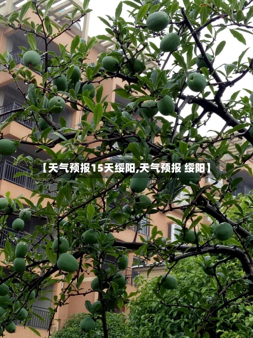 【天气预报15天绥阳,天气预报 绥阳】