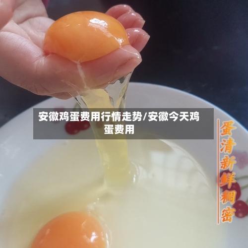 安徽鸡蛋费用行情走势/安徽今天鸡蛋费用