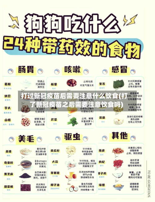 打过新冠疫苗后需要注意什么饮食(打了新冠疫苗之后需要注意饮食吗)
