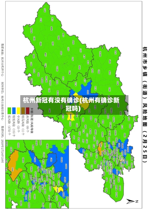 杭州新冠有没有确诊(杭州有确诊新冠吗)