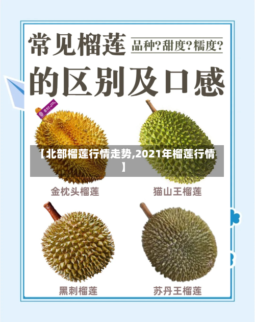 【北部榴莲行情走势,2021年榴莲行情】