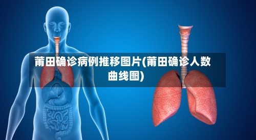莆田确诊病例推移图片(莆田确诊人数曲线图)