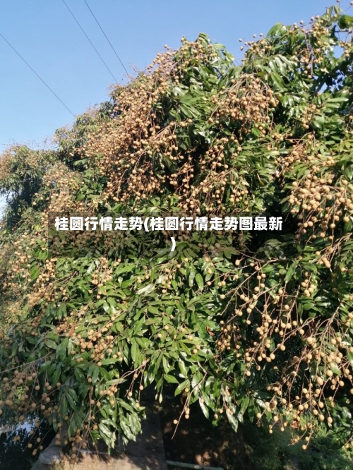 桂圆行情走势(桂圆行情走势图最新)