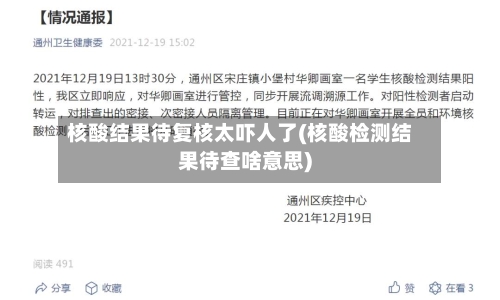 核酸结果待复核太吓人了(核酸检测结果待查啥意思)