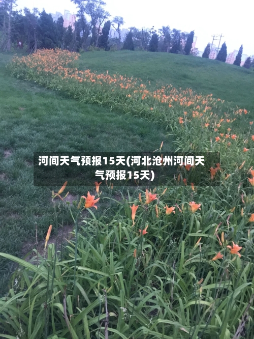 河间天气预报15天(河北沧州河间天气预报15天)