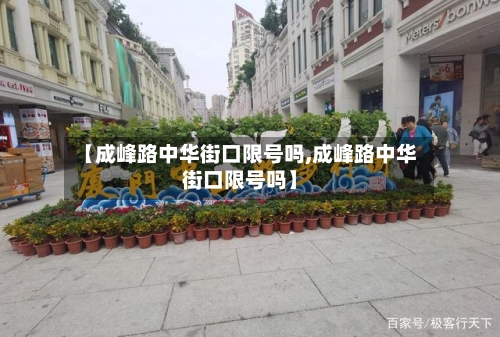【成峰路中华街口限号吗,成峰路中华街口限号吗】